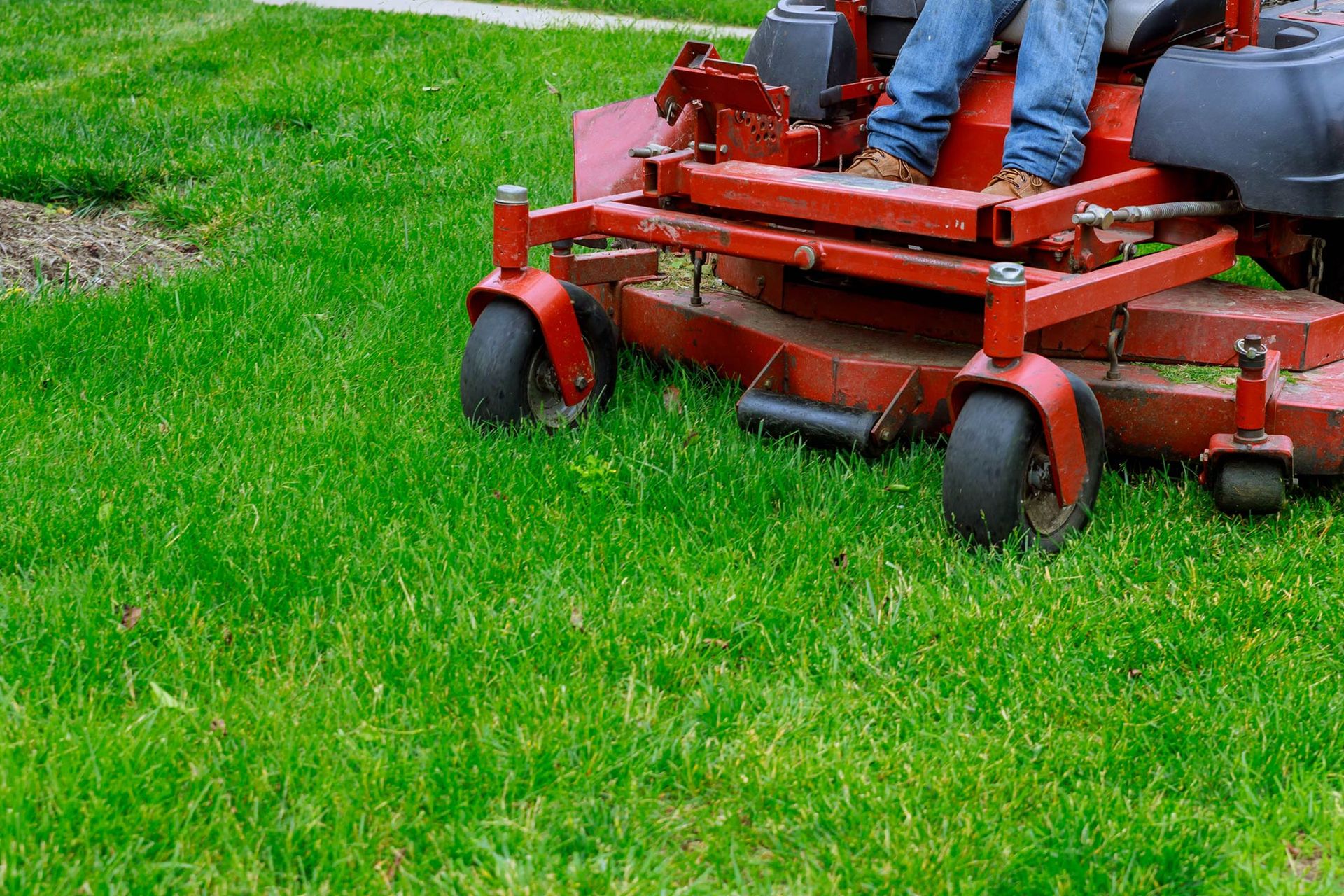 A person in blue jeans sitting on a bright red zero-turn lawnmower moving across a green grass lawn.