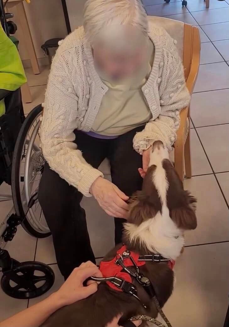 Bienfaits des animaux de compagnie pour personnes âgées - résidence bois de la pierre - wavre 