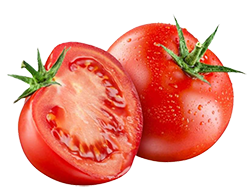 Whole and sliced red tomatoes with green stems on a white background