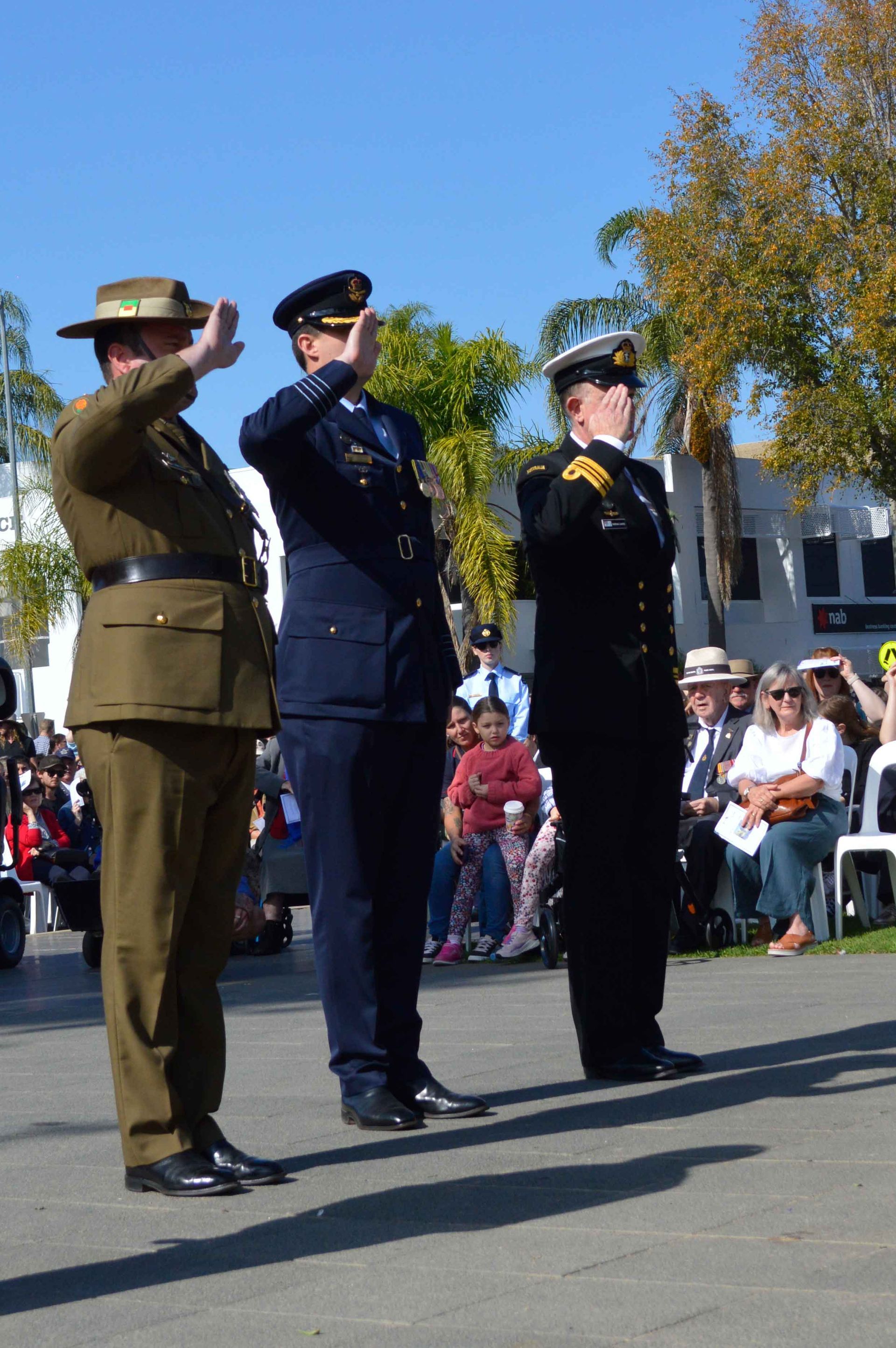Soldier Salute