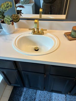 Bathroom vanity with white sink, gold faucet, dark cabinets, and a small potted plant beside the mirror