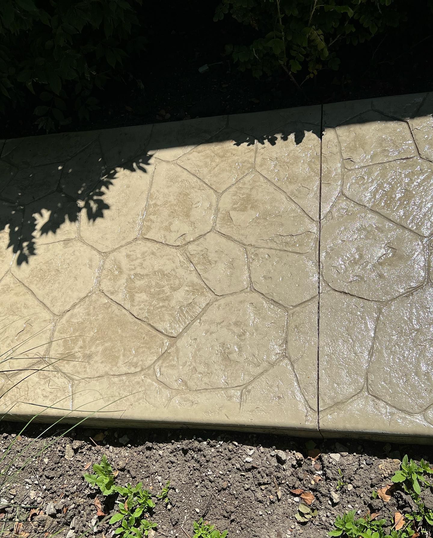 stamped concrete pool deck patio 