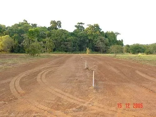 A Large Soil Field with Trees on the Back | Woree, Queensland | Cheshire Contractors