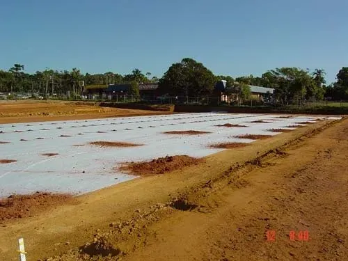 Woolworths Supermarket Construction Site | Woree, Queensland | Cheshire Contractors