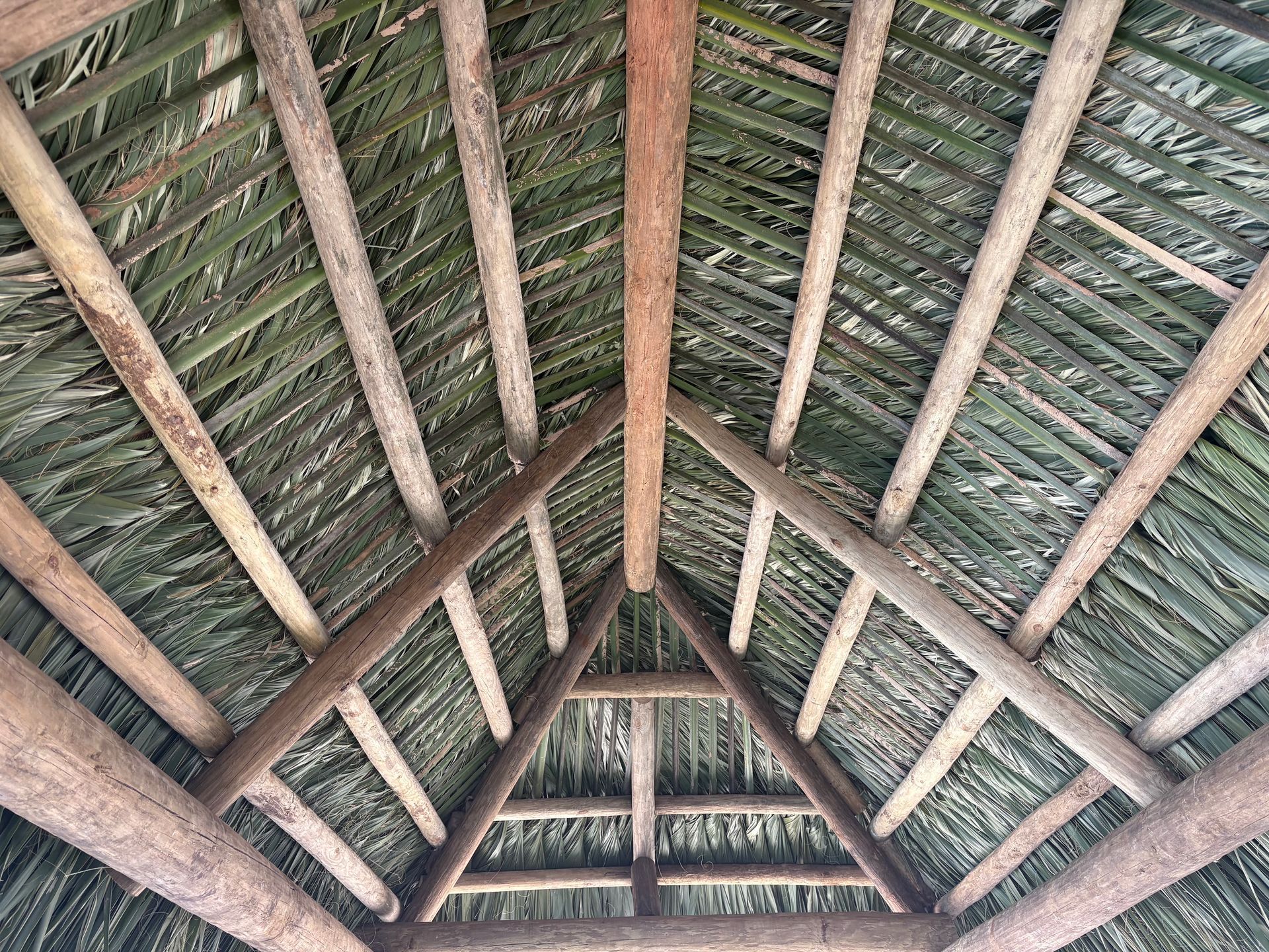 Thatched roof interior with wooden beams forming a triangular pattern