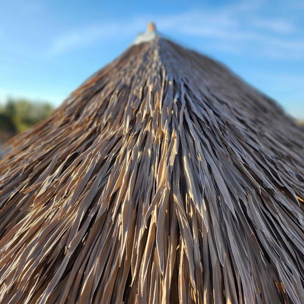 Close-up of a thatched roof peak against a blue sky with blurred trees in the background