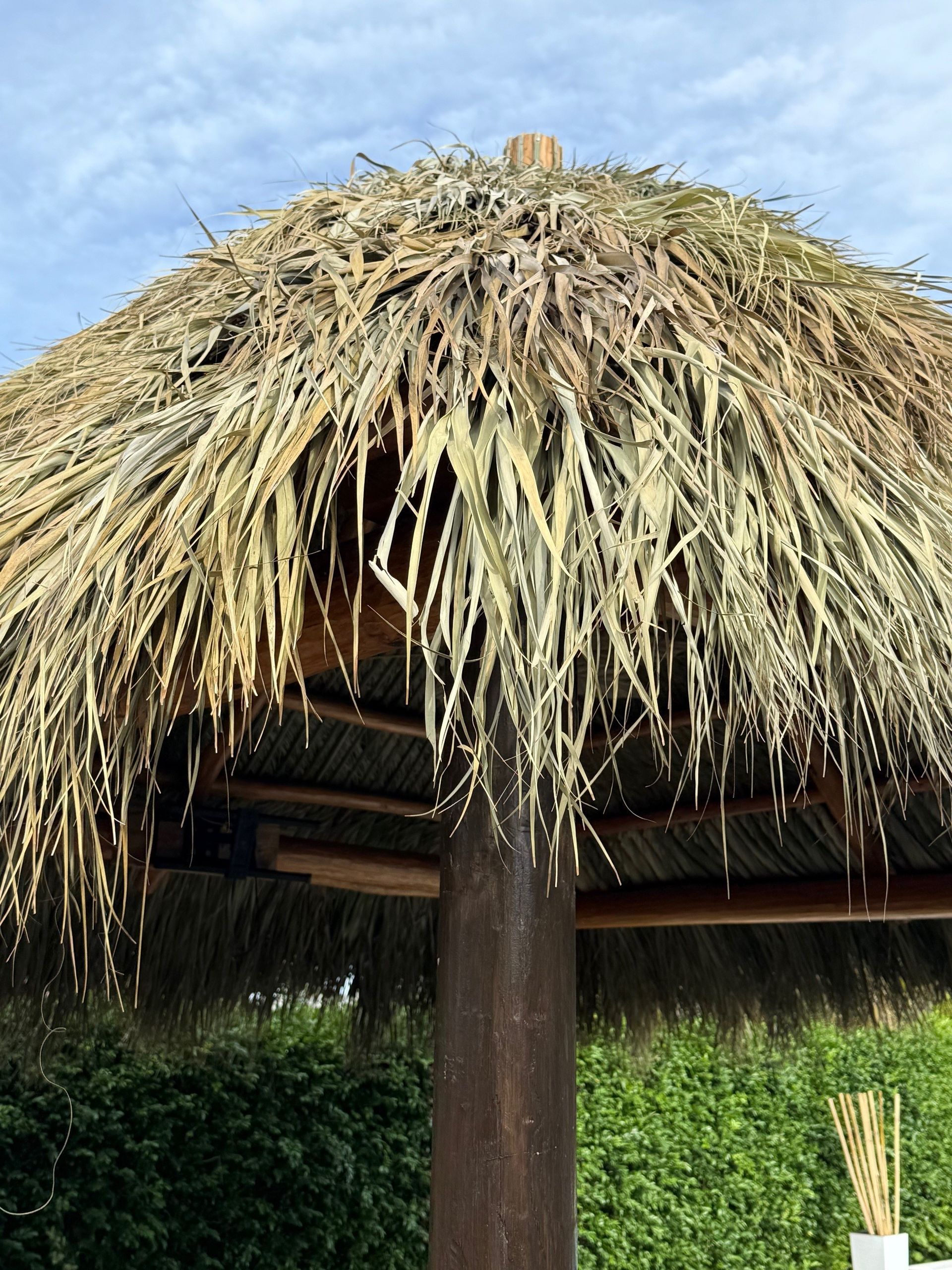 Thatched-roof hut against a blue sky and greenery