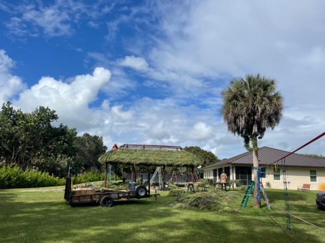 Backyard with a gazebo, palm tree, lawn tractor, and a single-story house under a blue sky.