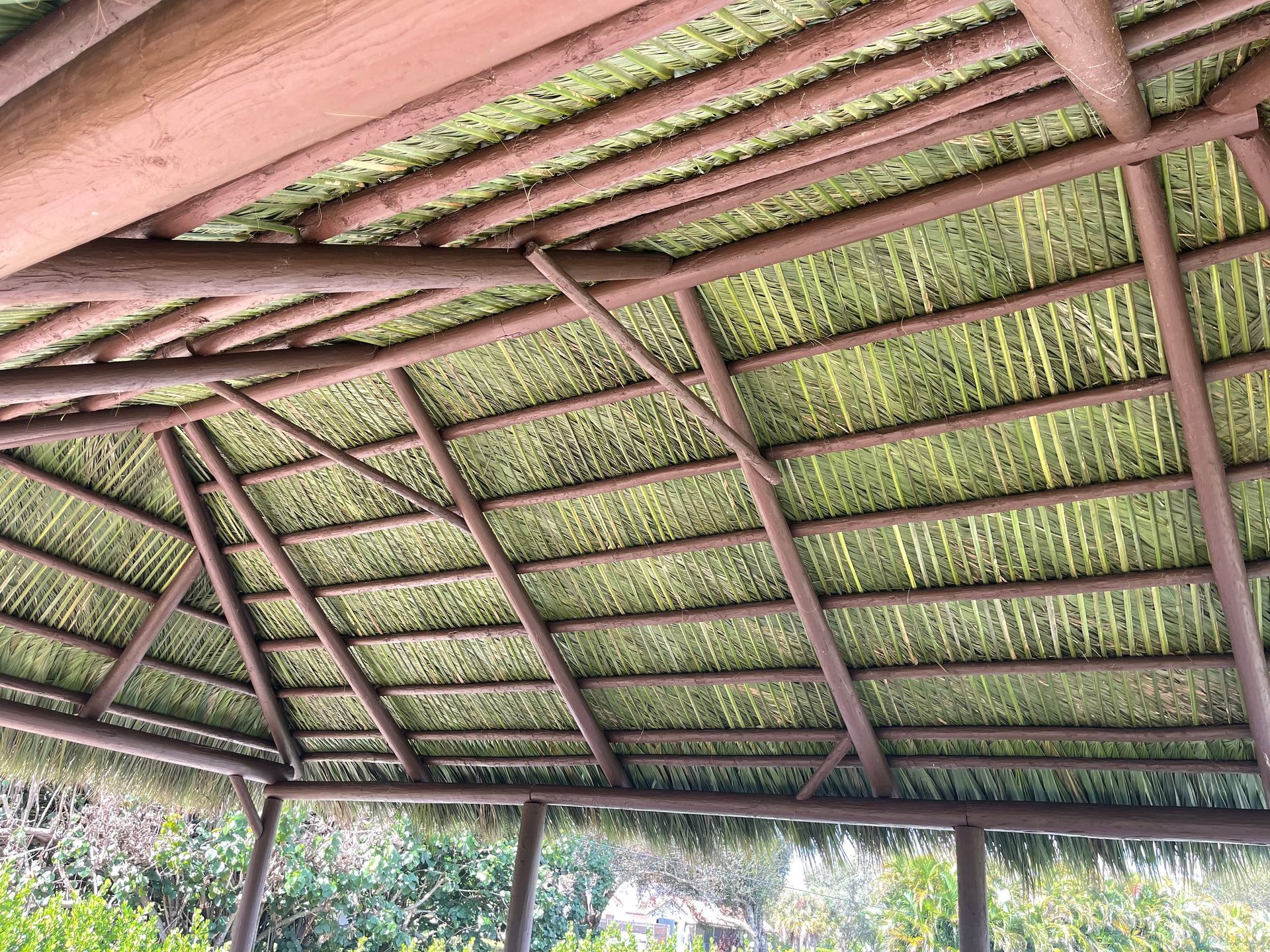 Thatched roof underside with wooden beams and green foliage visible through gaps