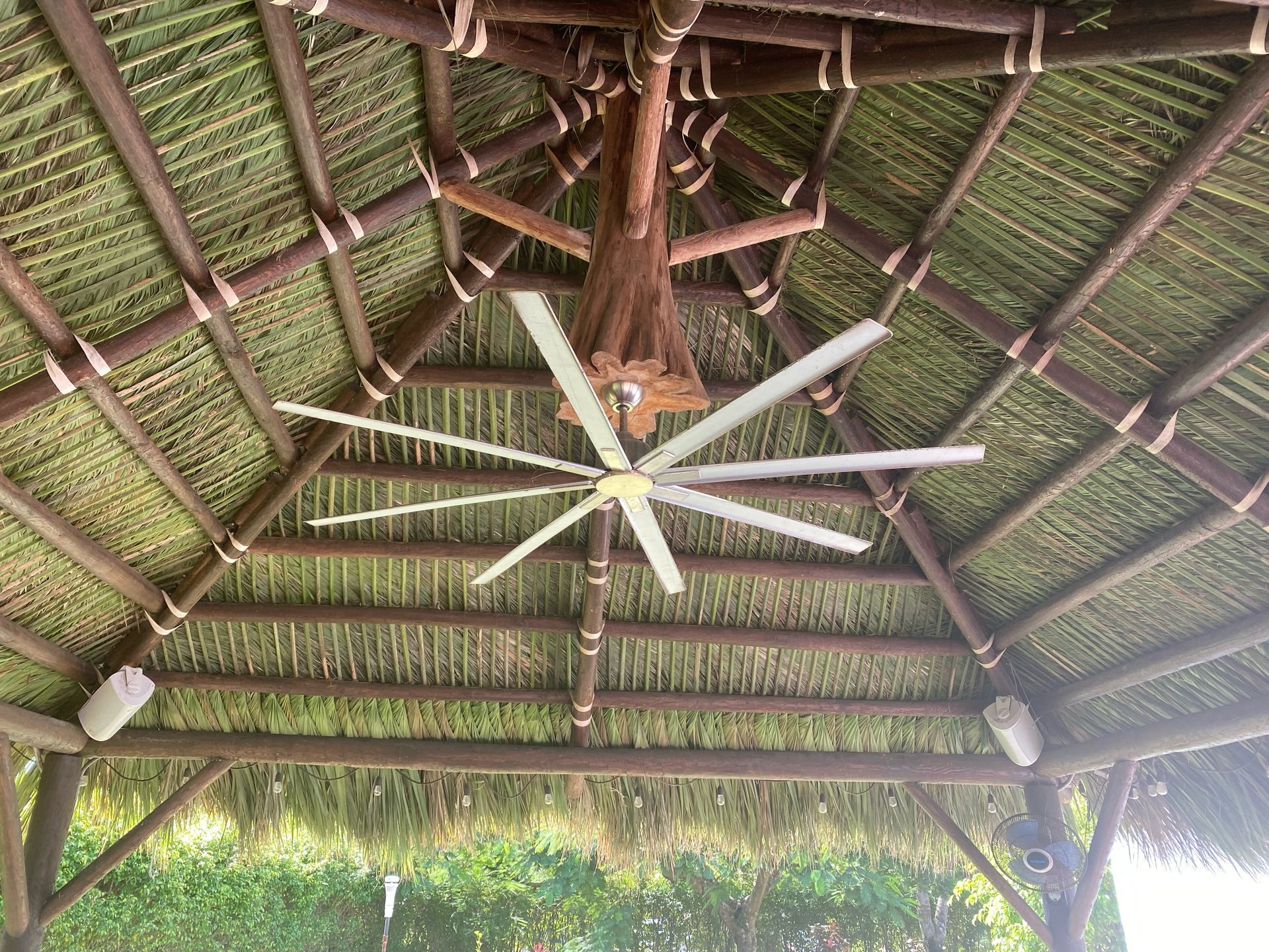 Wooden pavilion ceiling with thatched roof and a large white ceiling fan.