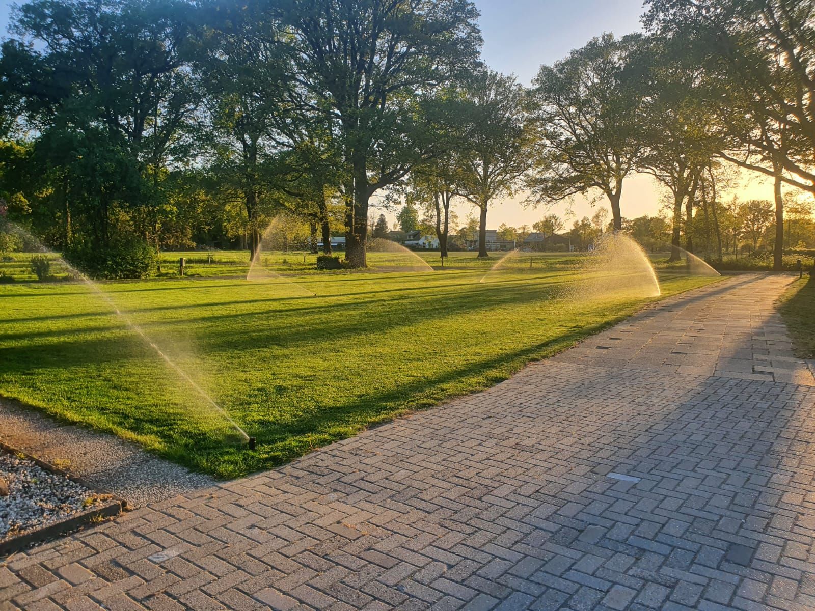 Zonnig park met groen gazon, bomen, een verhard pad en sproeiers die het gras besproeien.