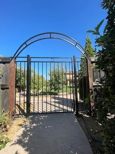Black metal gate with arched top, leading into a yard on a sunny day.