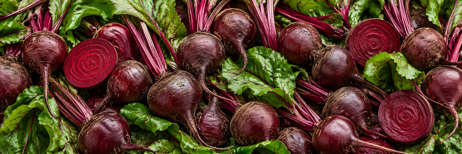 Fresh whole Baby Aubergines in violet and purple-striped varieties
