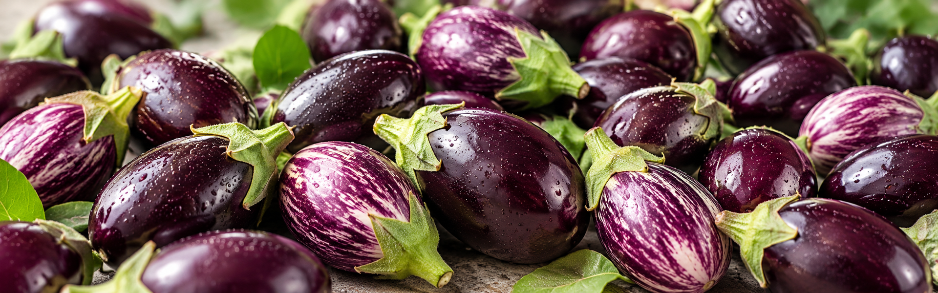 Fresh whole Baby Aubergines in violet and purple-striped varieties