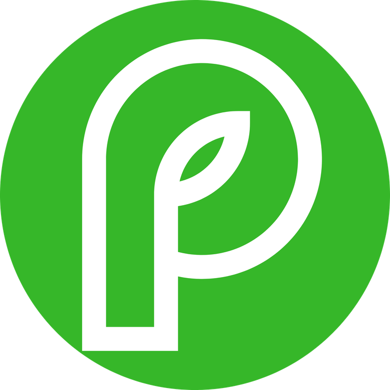 Green circle logo with a white stylized lowercase “p” inside
