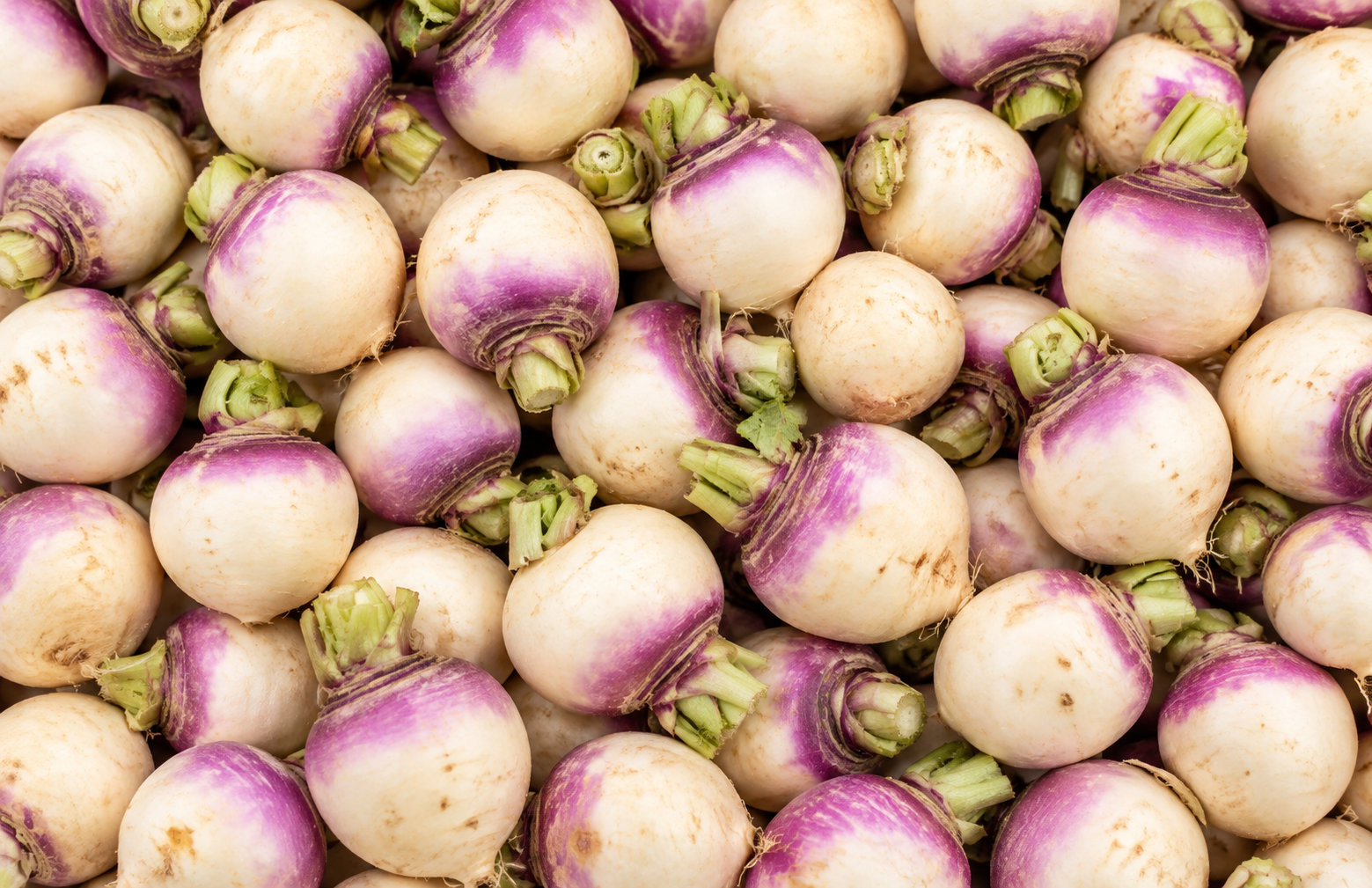 Fresh whole Baby Aubergines in violet and purple-striped varieties