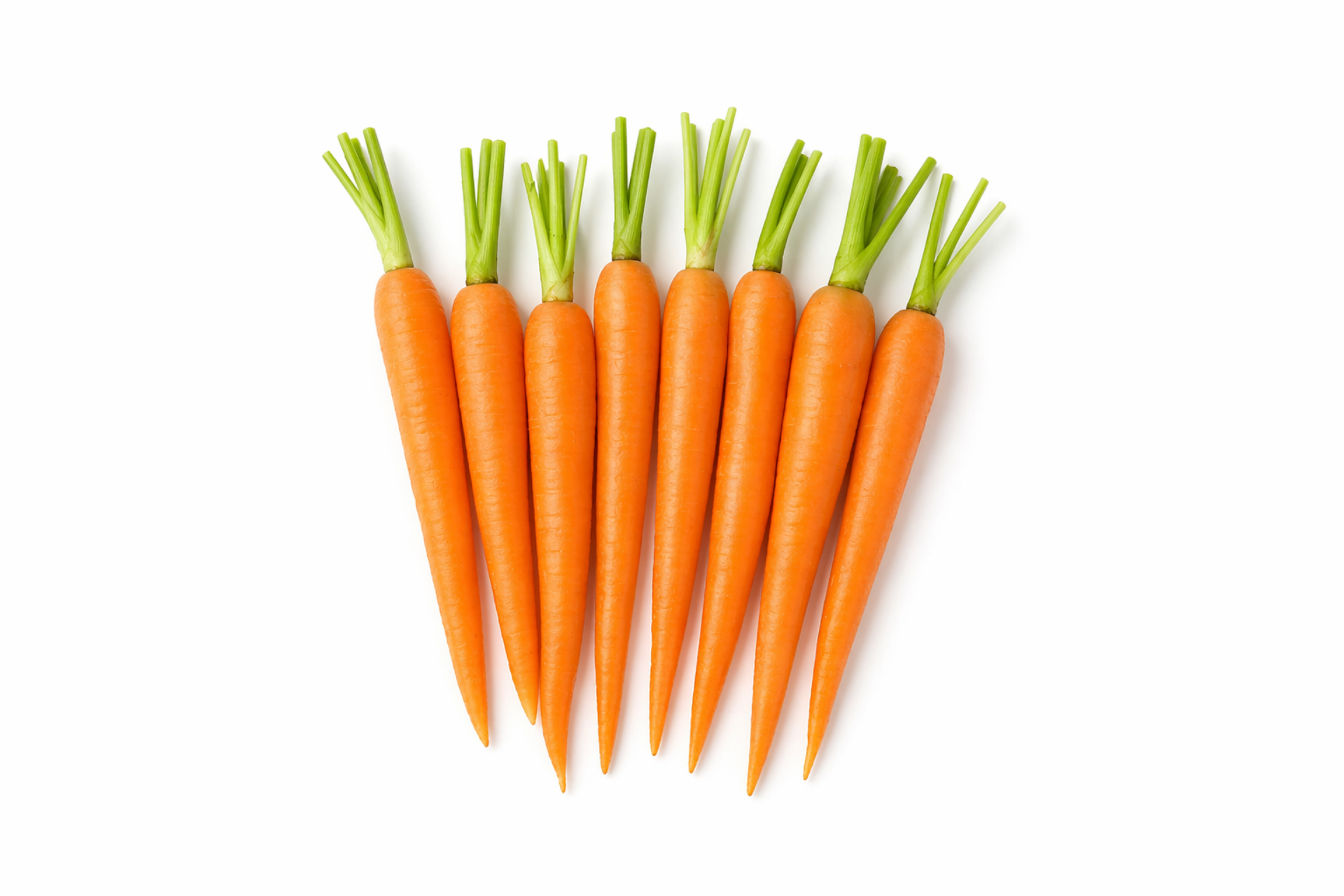 Fresh baby carrots prepared for professional kitchen use