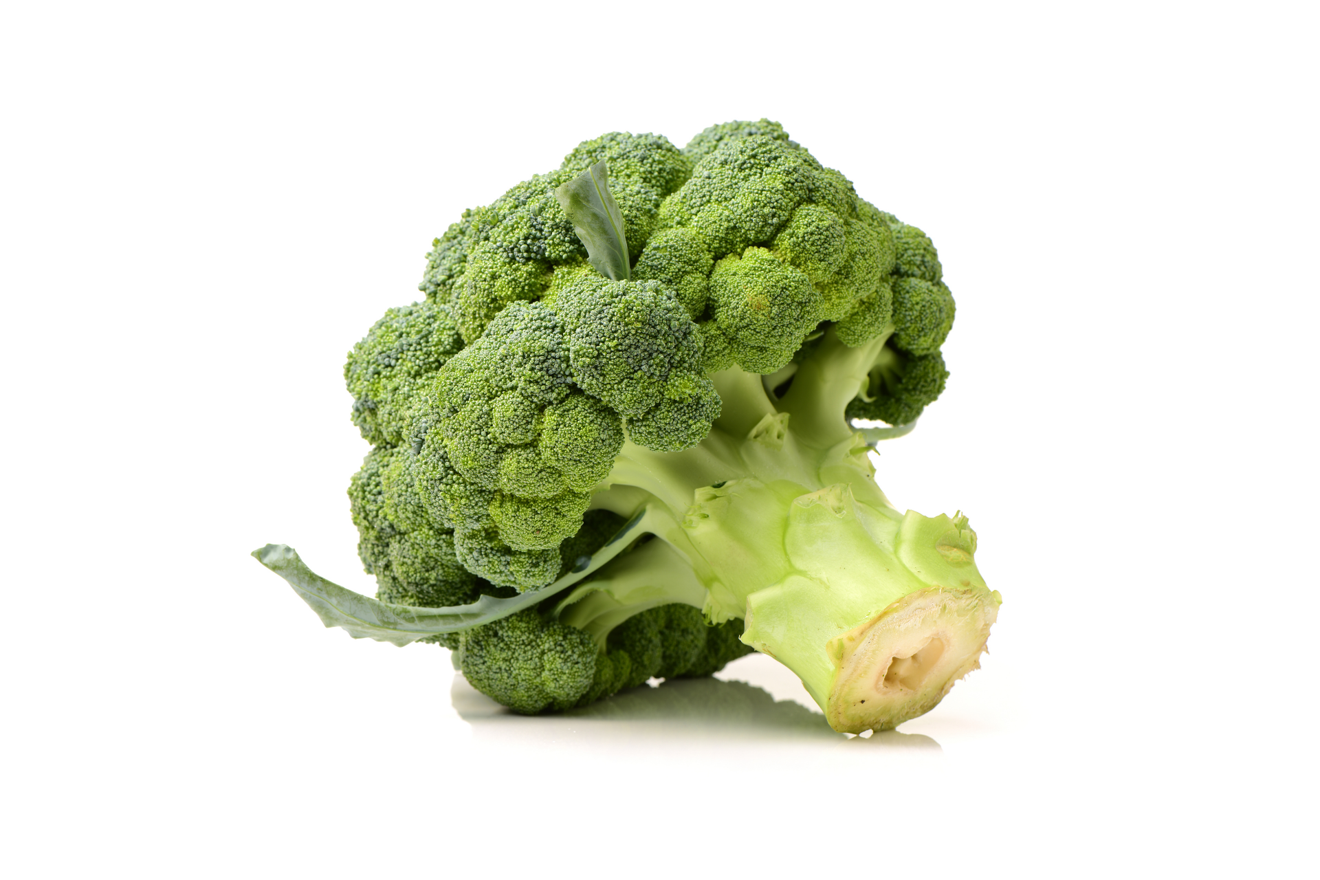 Fresh broccoli heads with green florets
