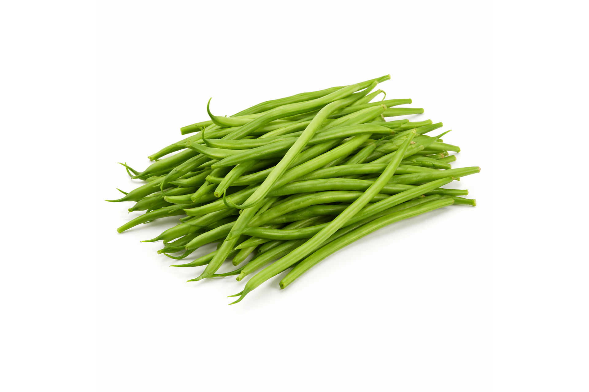 Fresh fine beans bundled for professional kitchen supply