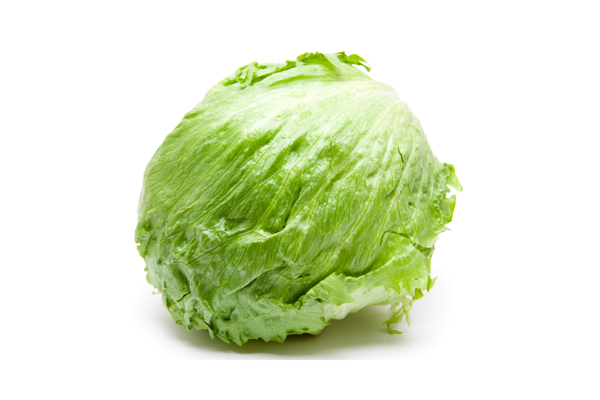 Whole iceberg lettuce head with tightly packed pale green leaves