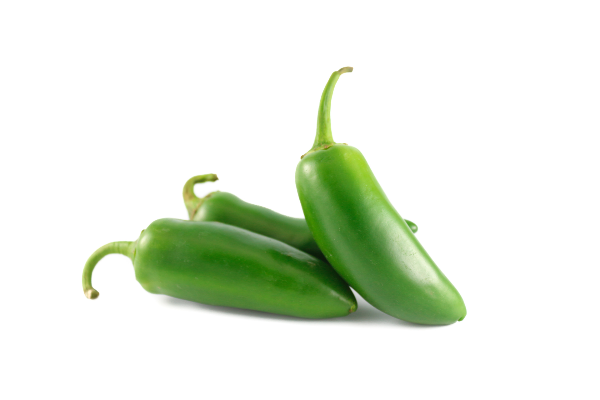 Fresh green jalapeno chillies for wholesale catering supply