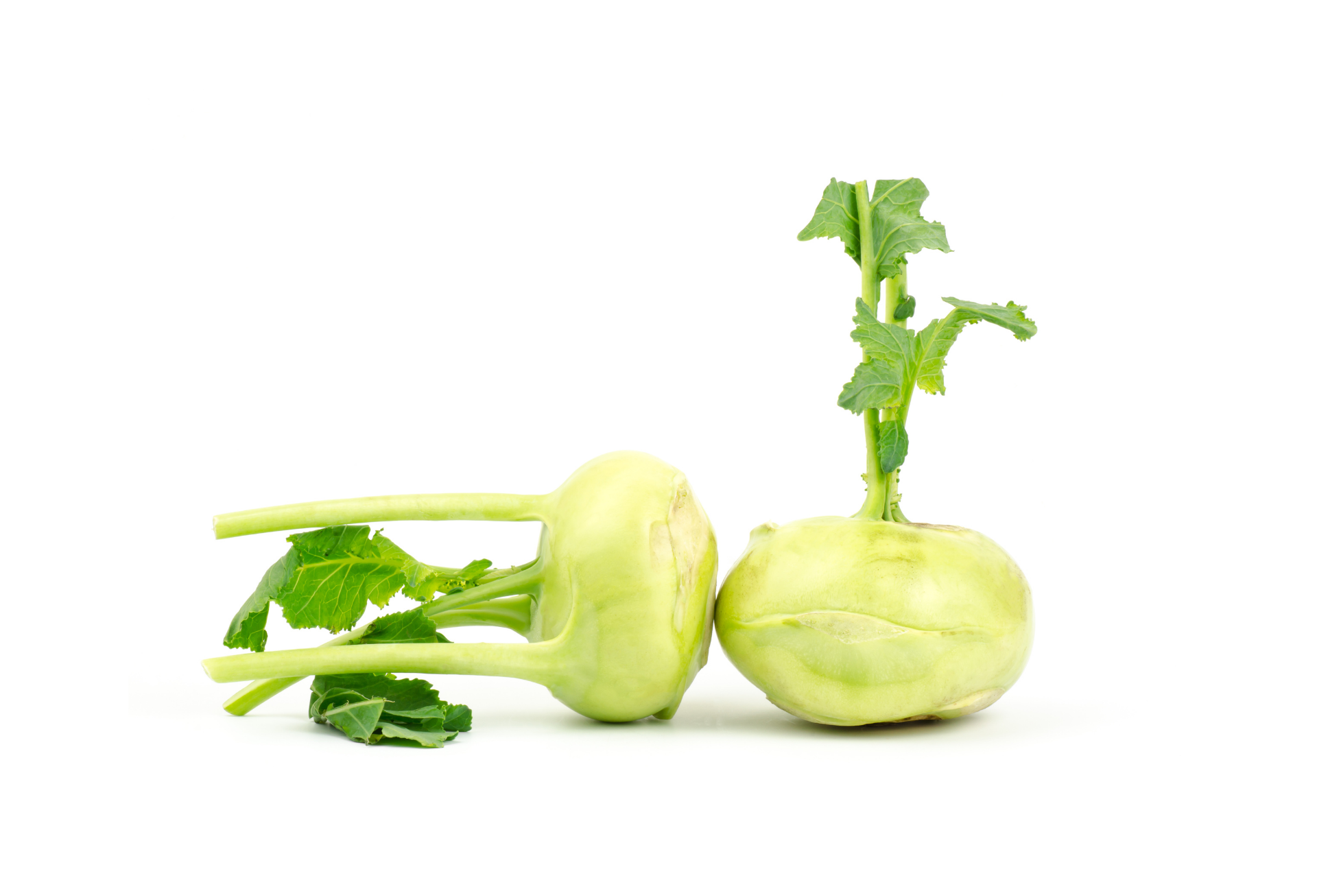 Fresh kohlrabi bulbs with pale green skin