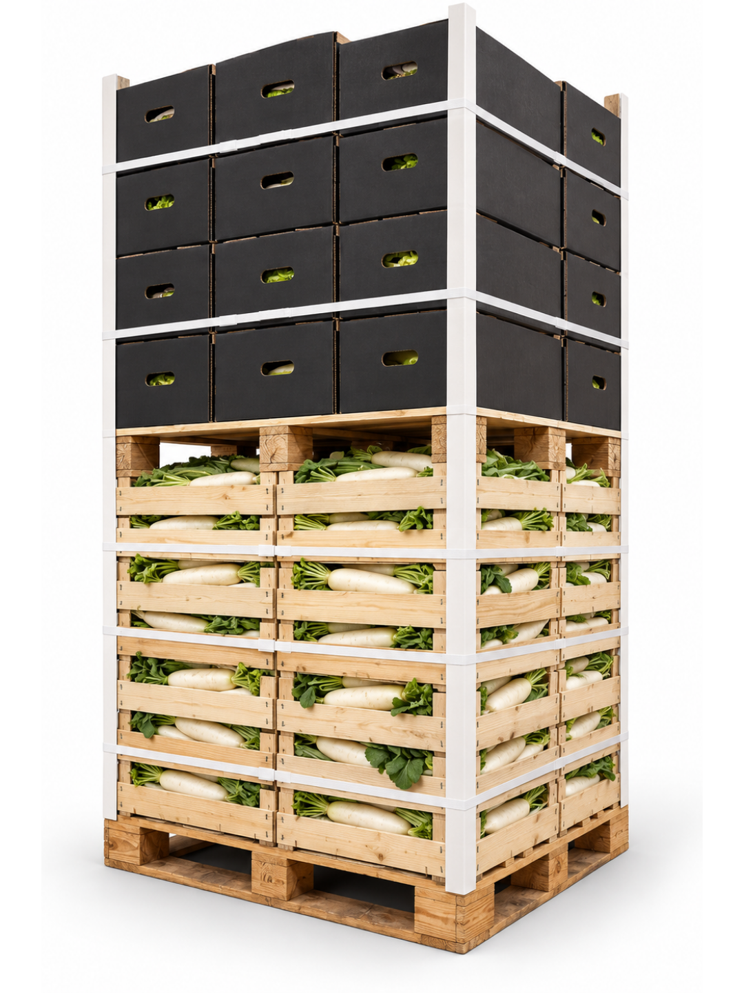 Mixed wholesale produce pallet with cases of fresh Mooli radish