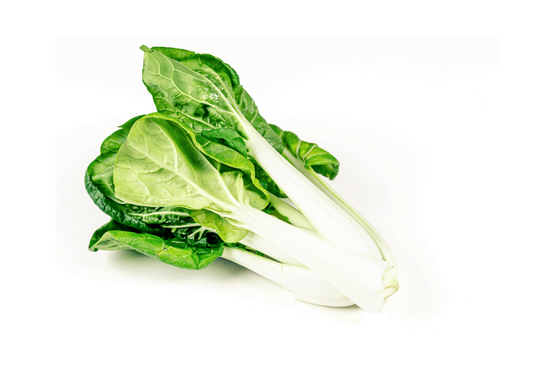 Fresh pak choi with pale stems and green leaves