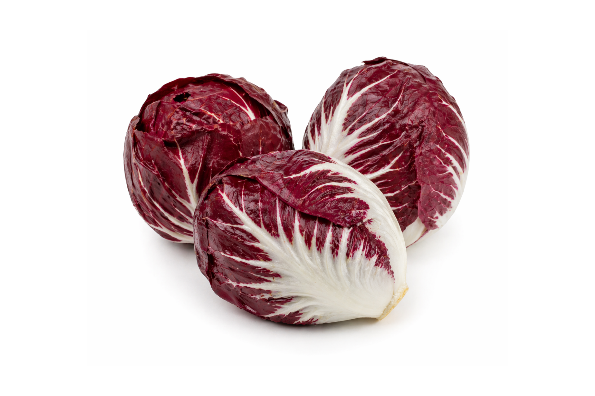 Radicchio head showing red and white variegated leaves