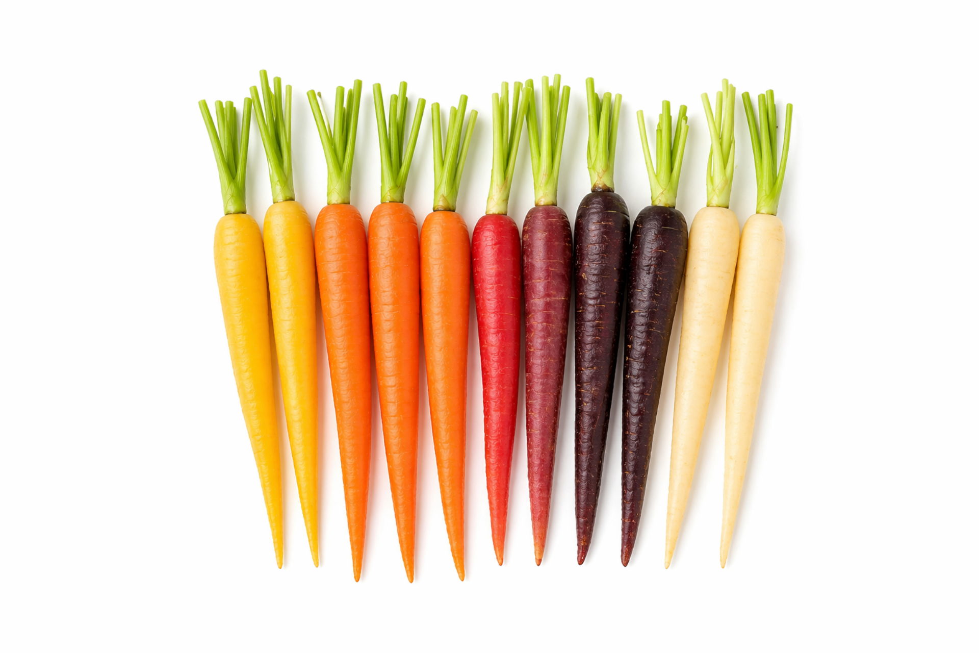 Mixed rainbow carrots showing a range of natural colours for wholesale supply