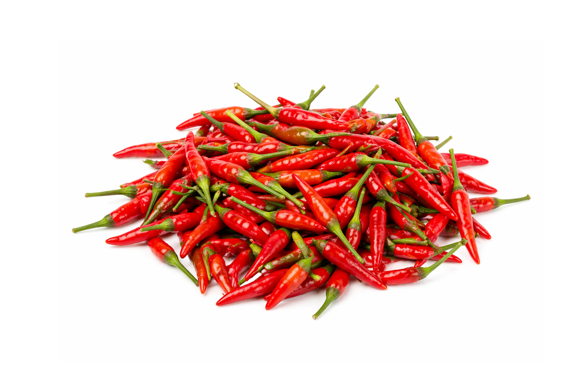 Red birds eye chillies displayed whole for catering supply