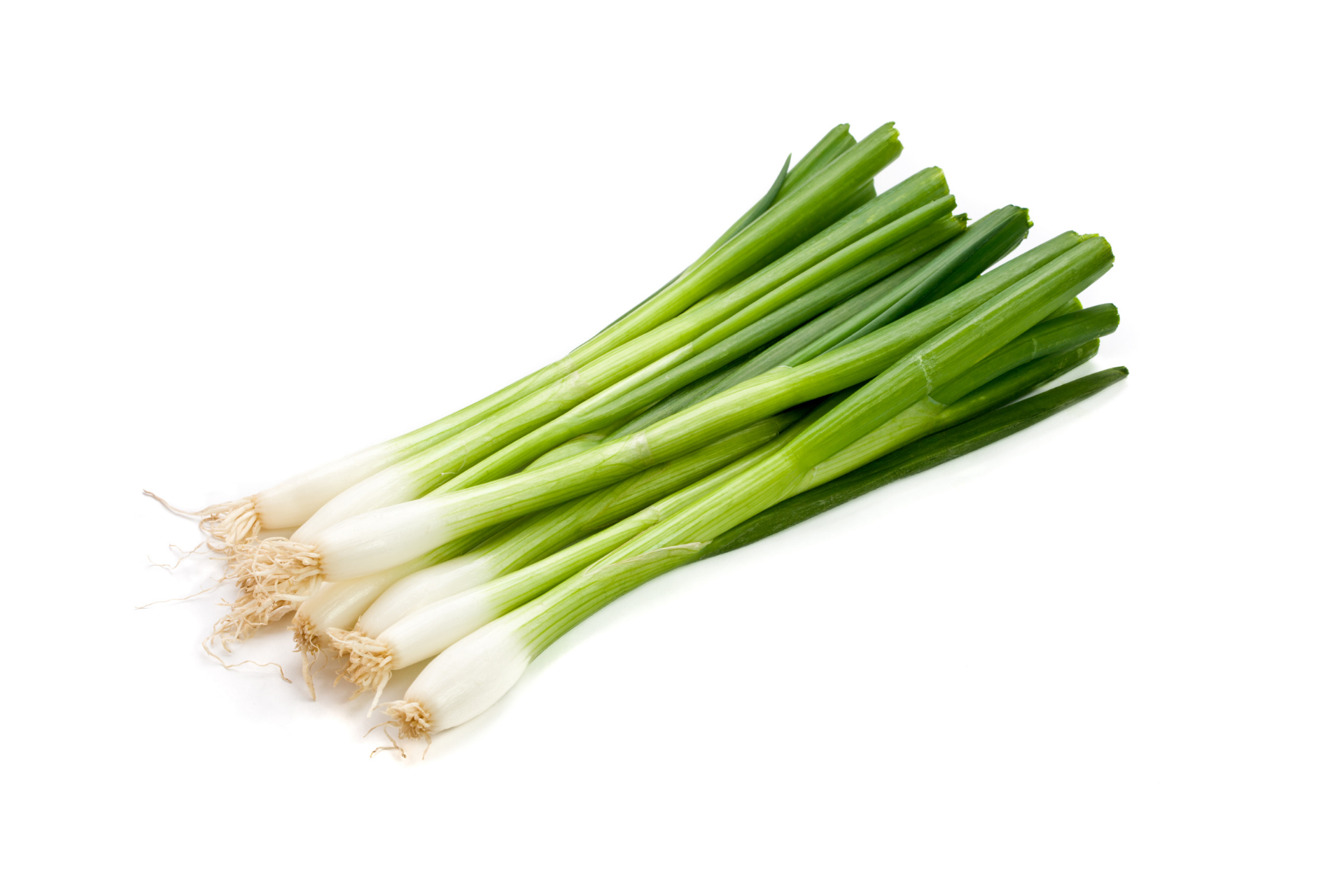 Fresh spring onions with green tops and white stems