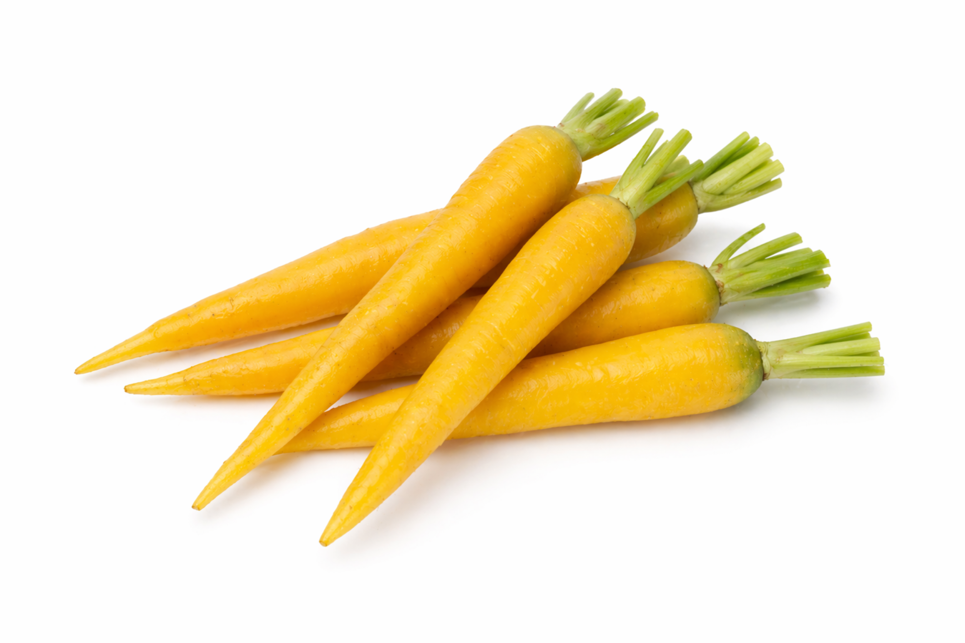Yellow carrots displayed to highlight their bright natural colour