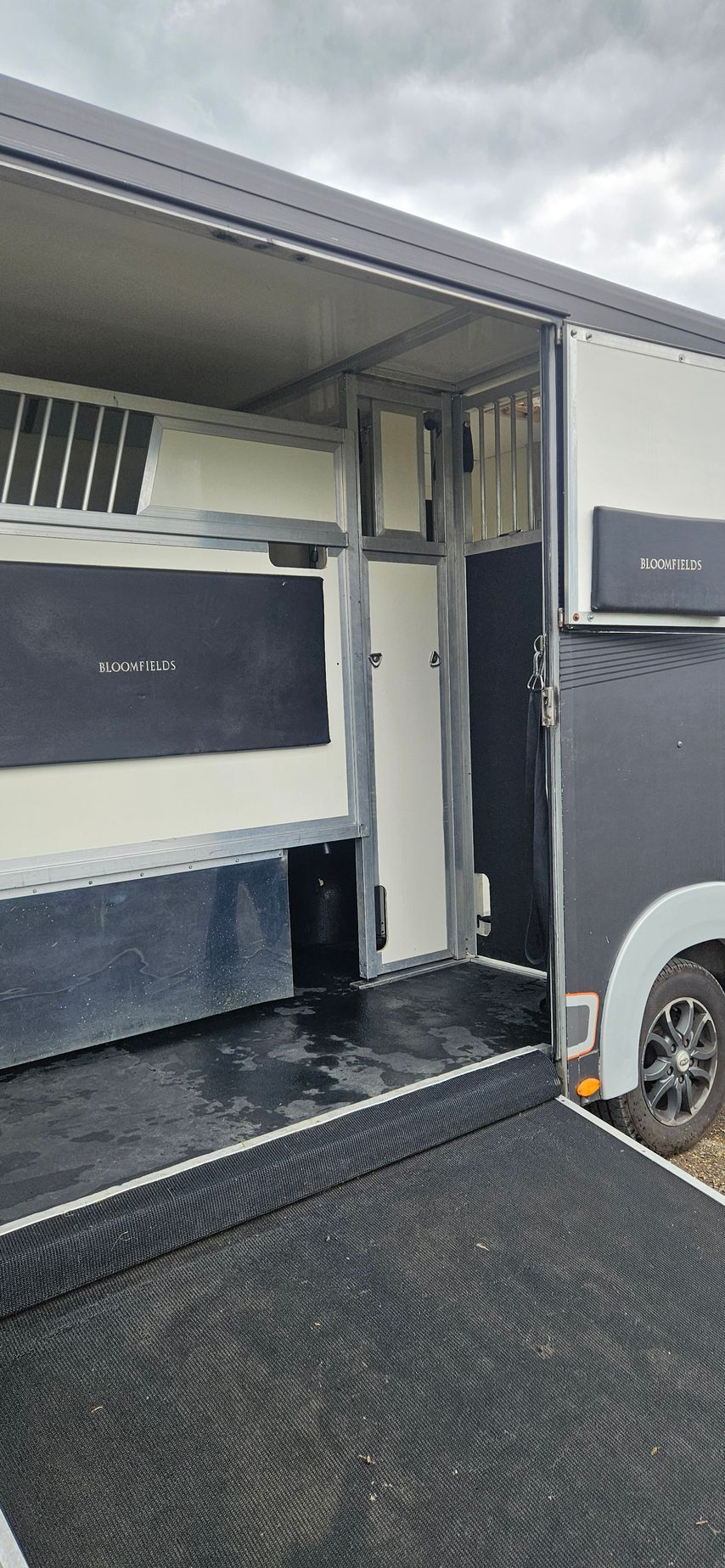 Open horse trailer interior with ramp down and side door open on a driveway