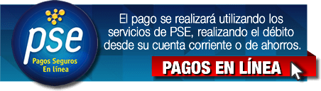 Pagos Seguros en Línea