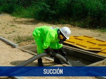 Sección