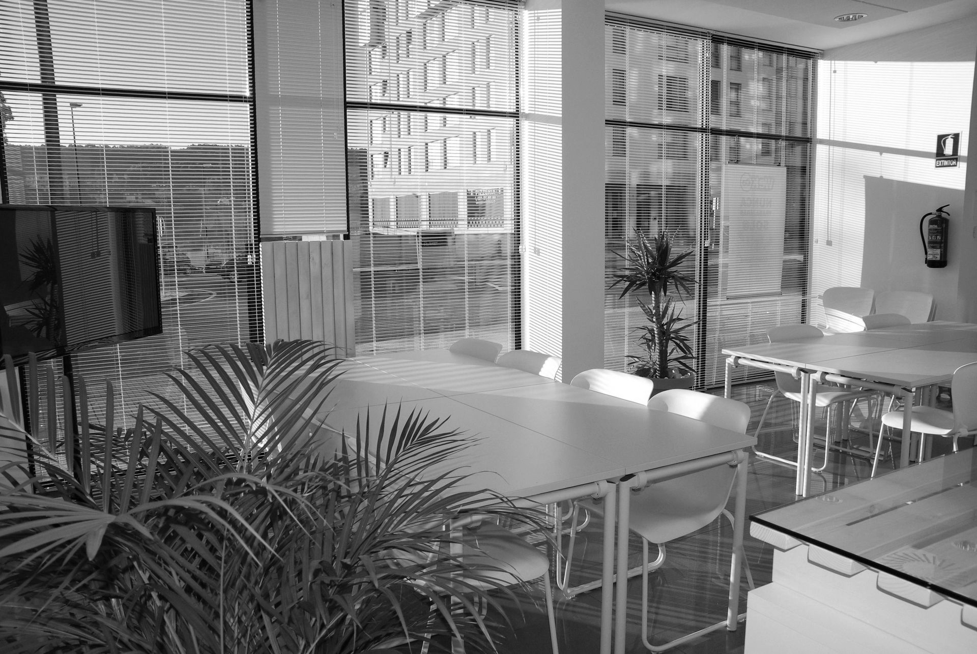A modern office with tables, chairs, and large windows with blinds.
