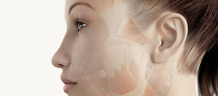 Custom implant design for the nasal bridge