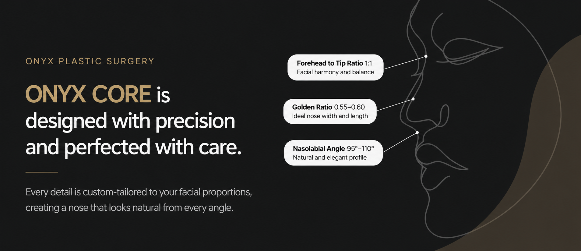 ONYX CORE is designed with precision and perfected with care