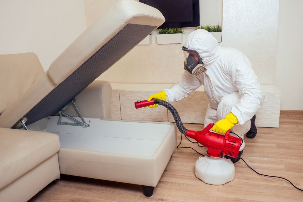 A man in a protective suit is disinfecting a couch in a living room.