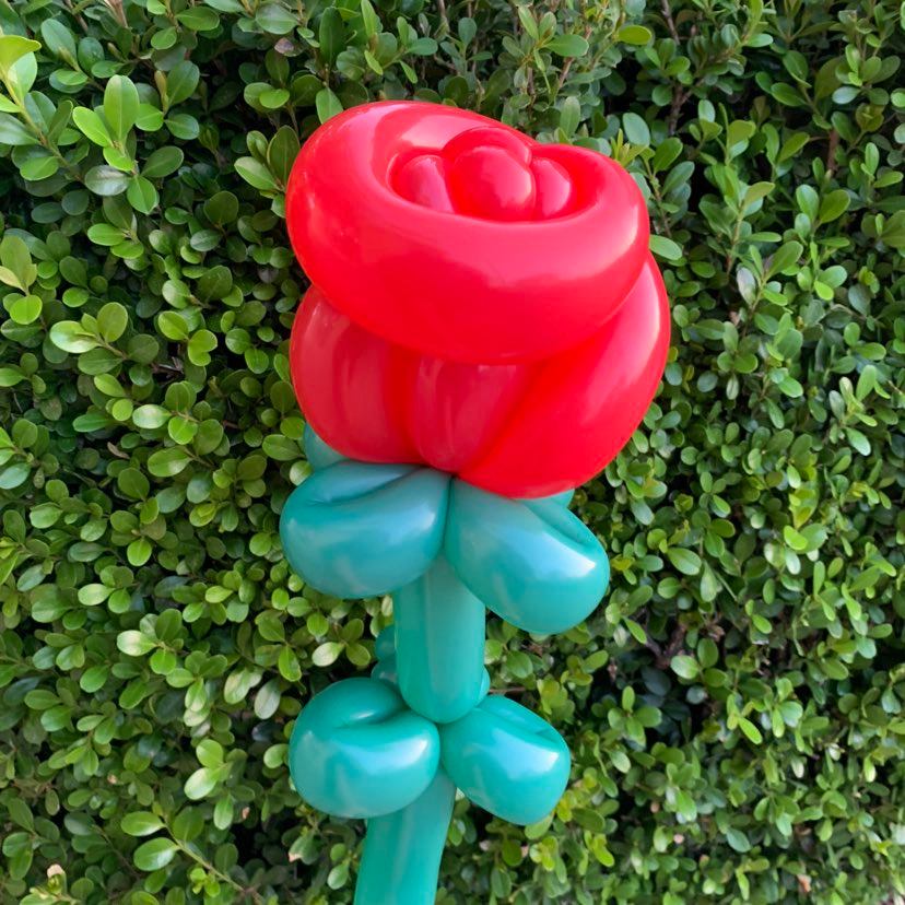 Balloon Twisting
