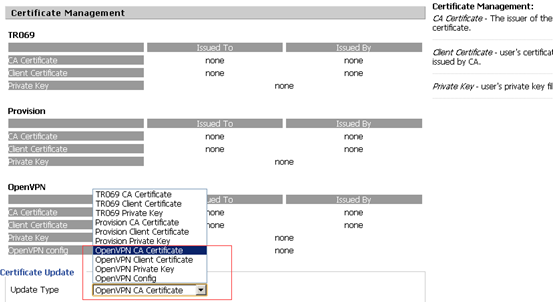 LTE520S OpenVPN Configuration - 2 LTE520S OpenVPN Configuration - 2