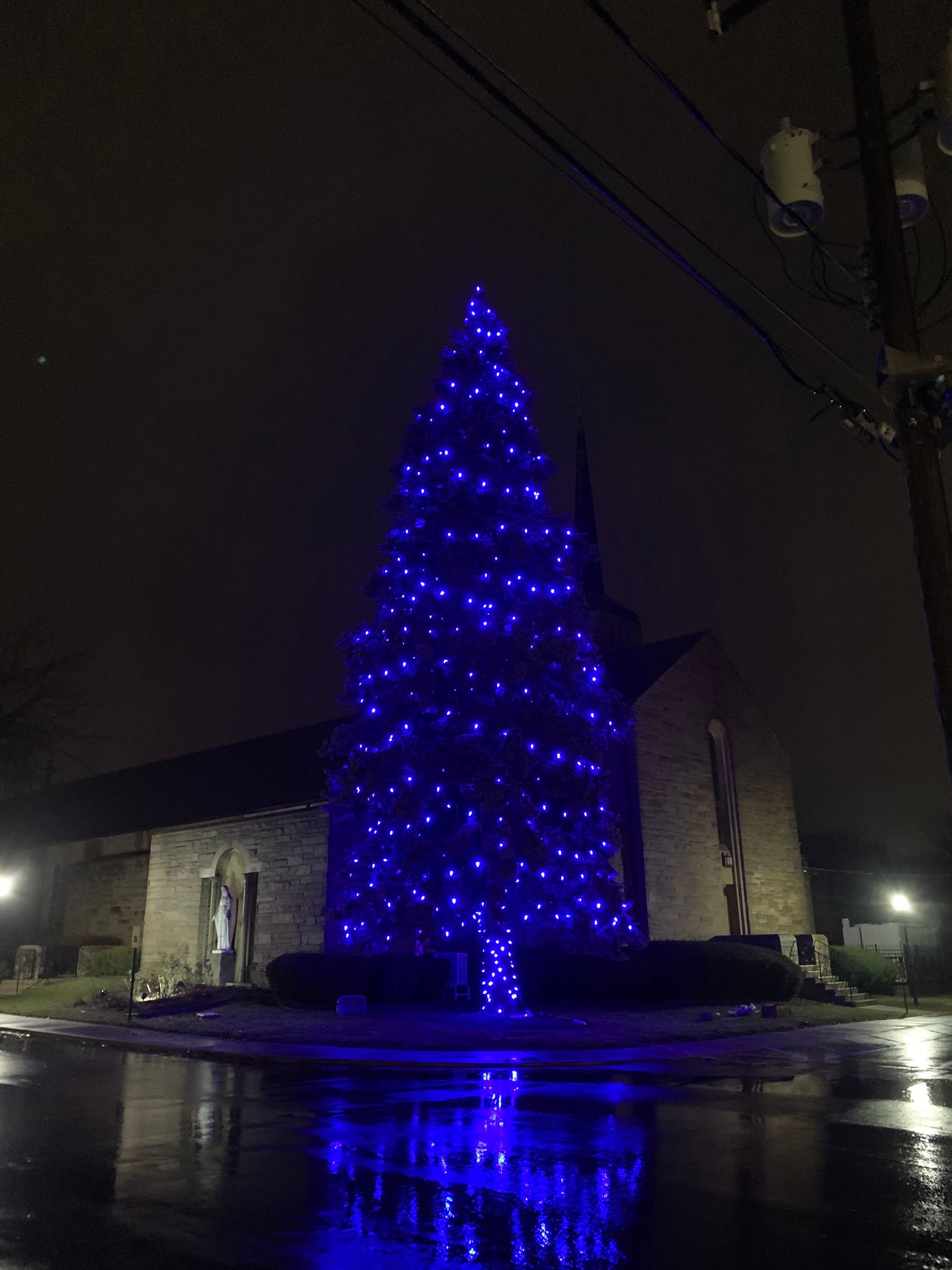 Tree Lighting set-up