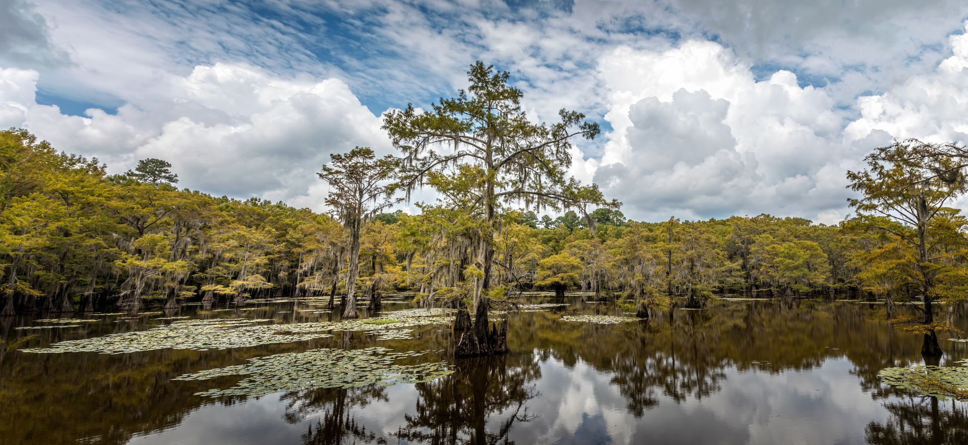 Calm mangrove wetland with reflected trees under a cloudy sky