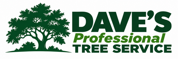 Tree trimming crew working from an aerial lift on a tall tree in Lutz, FL