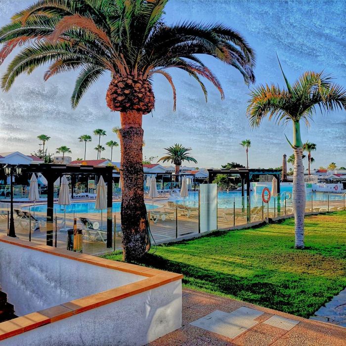 A pool area at a resort with palm trees, a lounge area with umbrellas, and a grassy lawn under a blue sky.