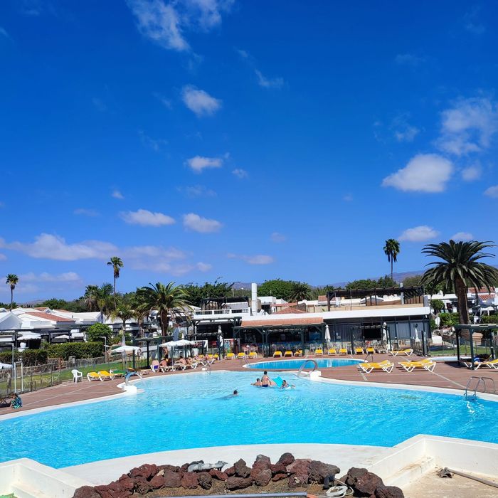A bright outdoor swimming pool at a resort under a blue sky, with palm trees and buildings in the background.