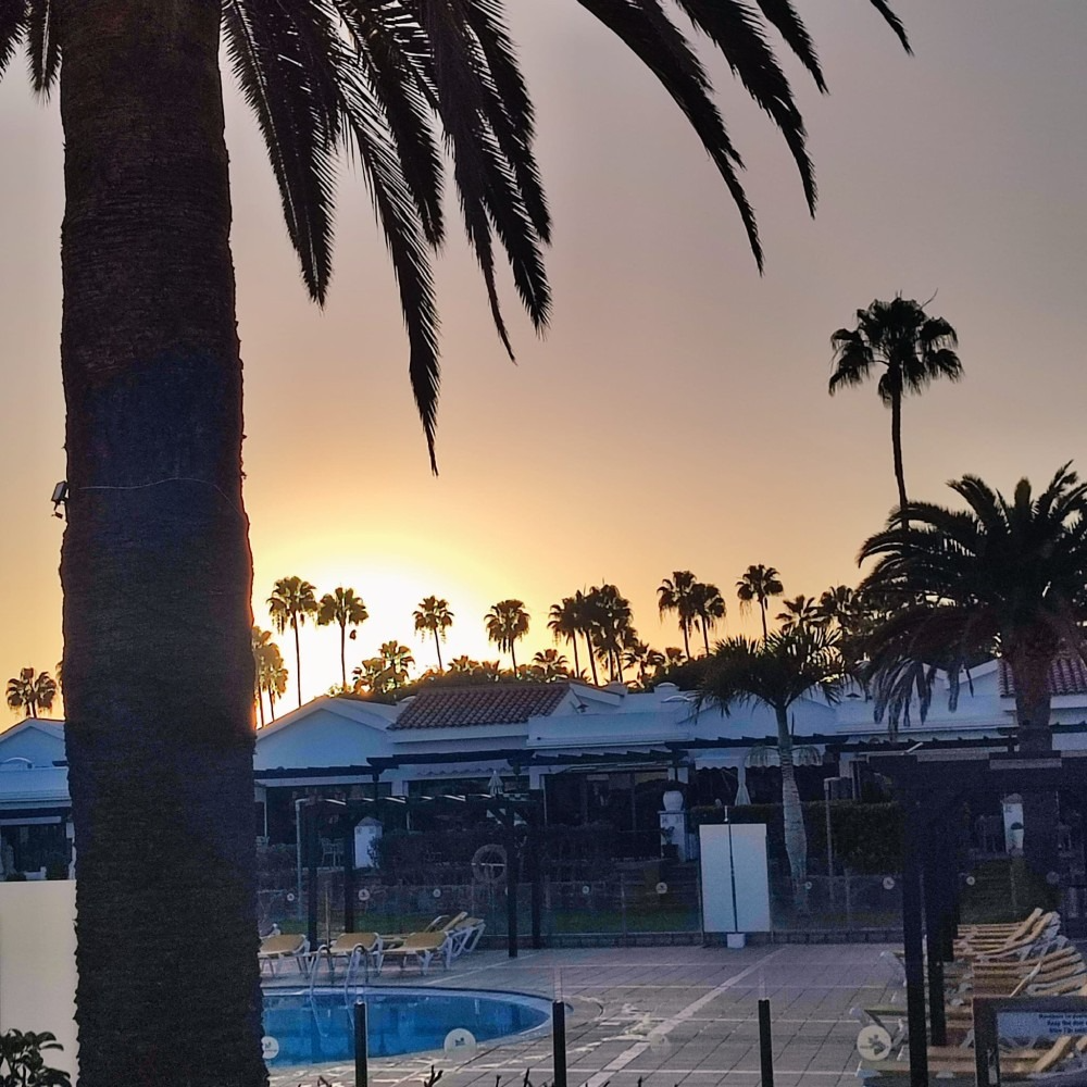 A resort swimming pool framed by palm trees during a warm golden sunset, with silhouettes of buildings in the background.