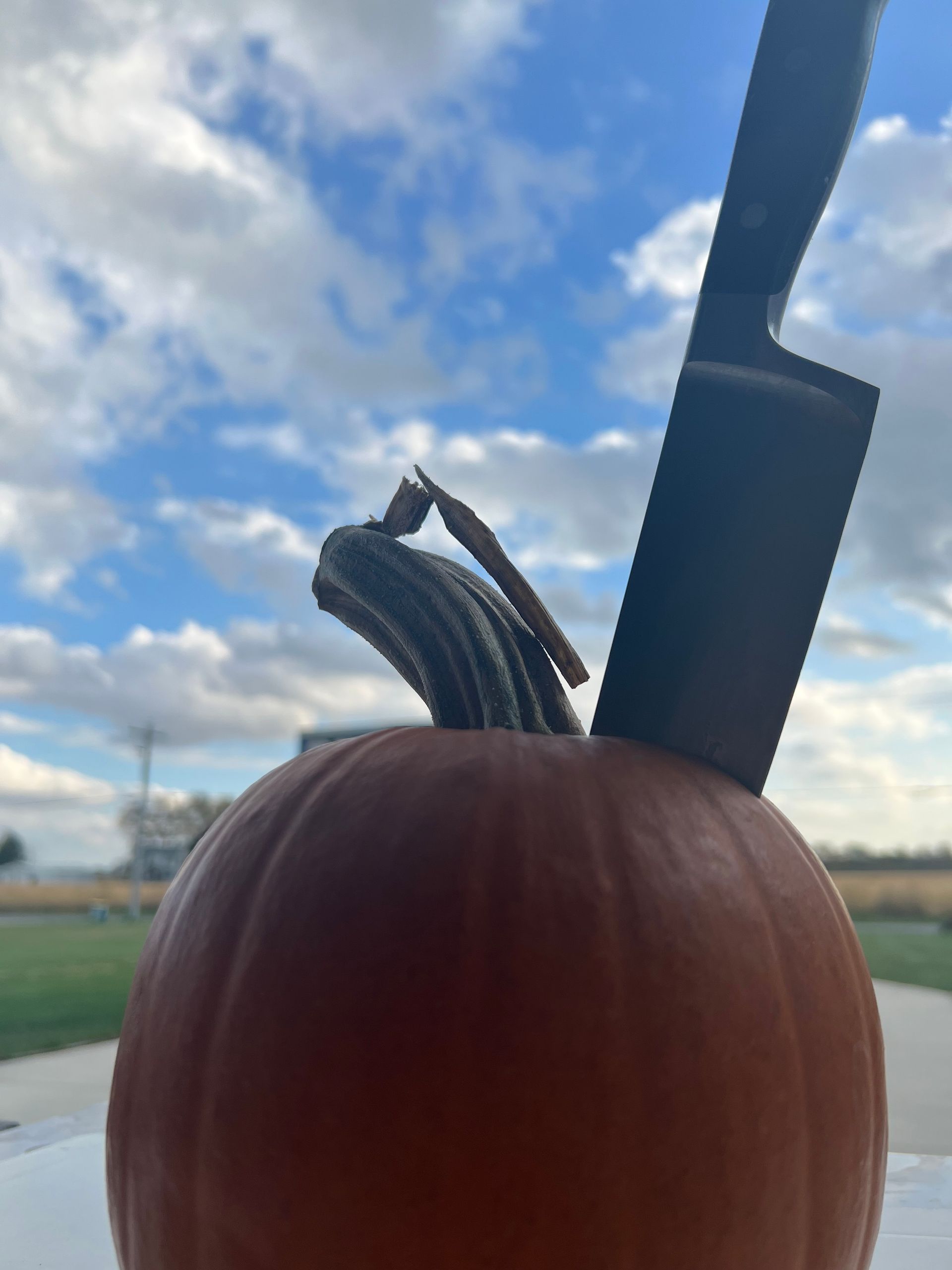 pumpkin