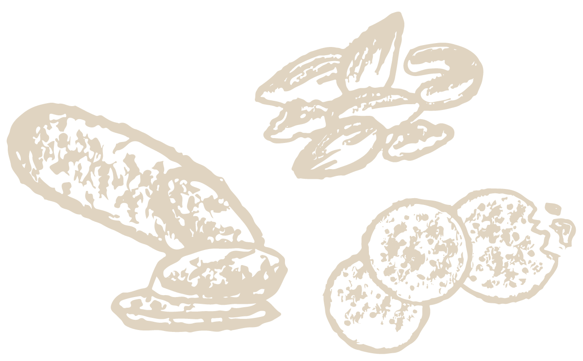 A drawing of a sausage , nuts , and cookies on a white background.